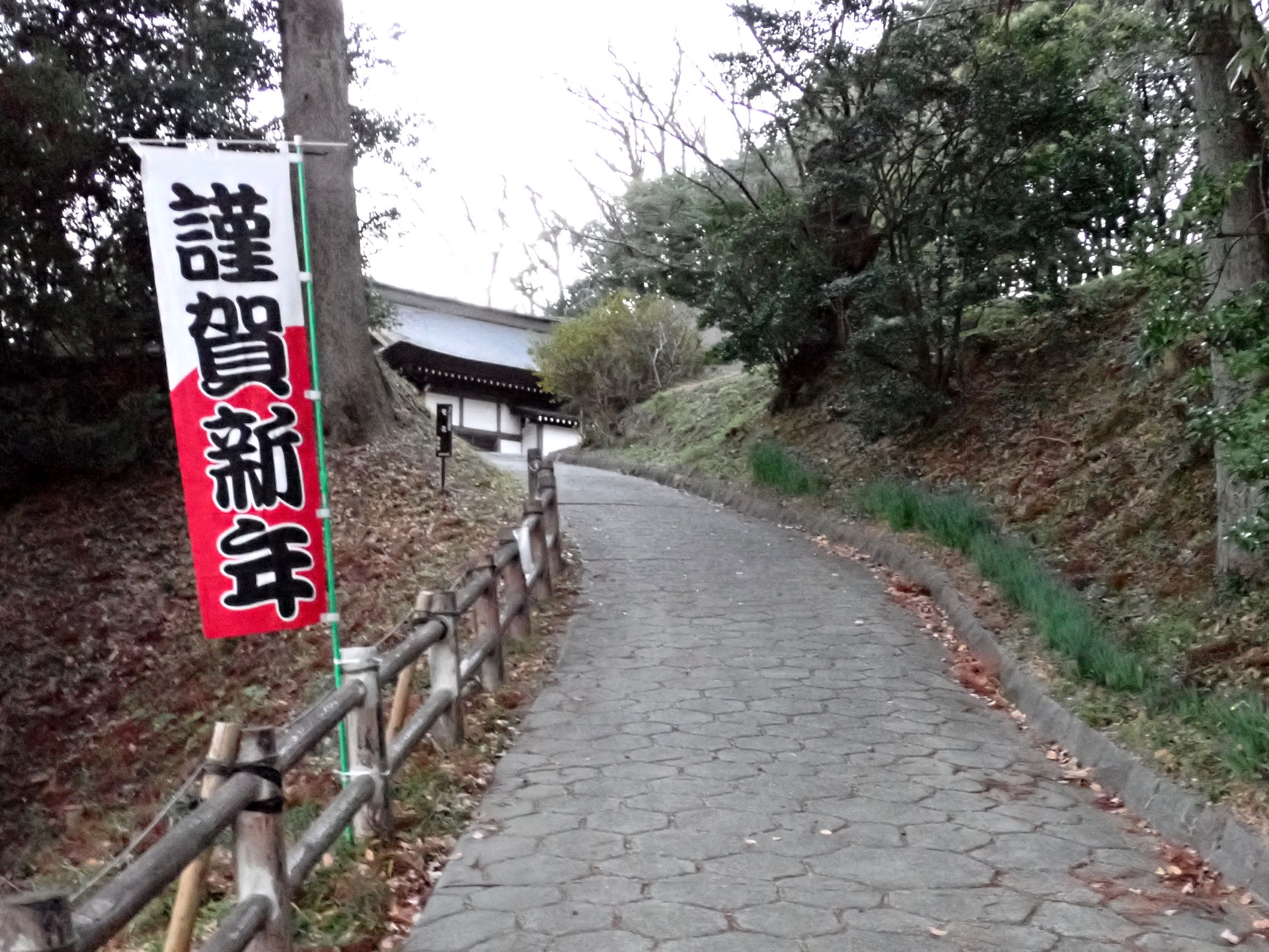 スイセンが道端に植えられている神社への参道スロープの高画質写真です。新年を祝う紅白の謹賀新年のぼりが立てられています。横浜市 青葉区 寺家ふるさと村で、2023年12月28日に撮影したものです。