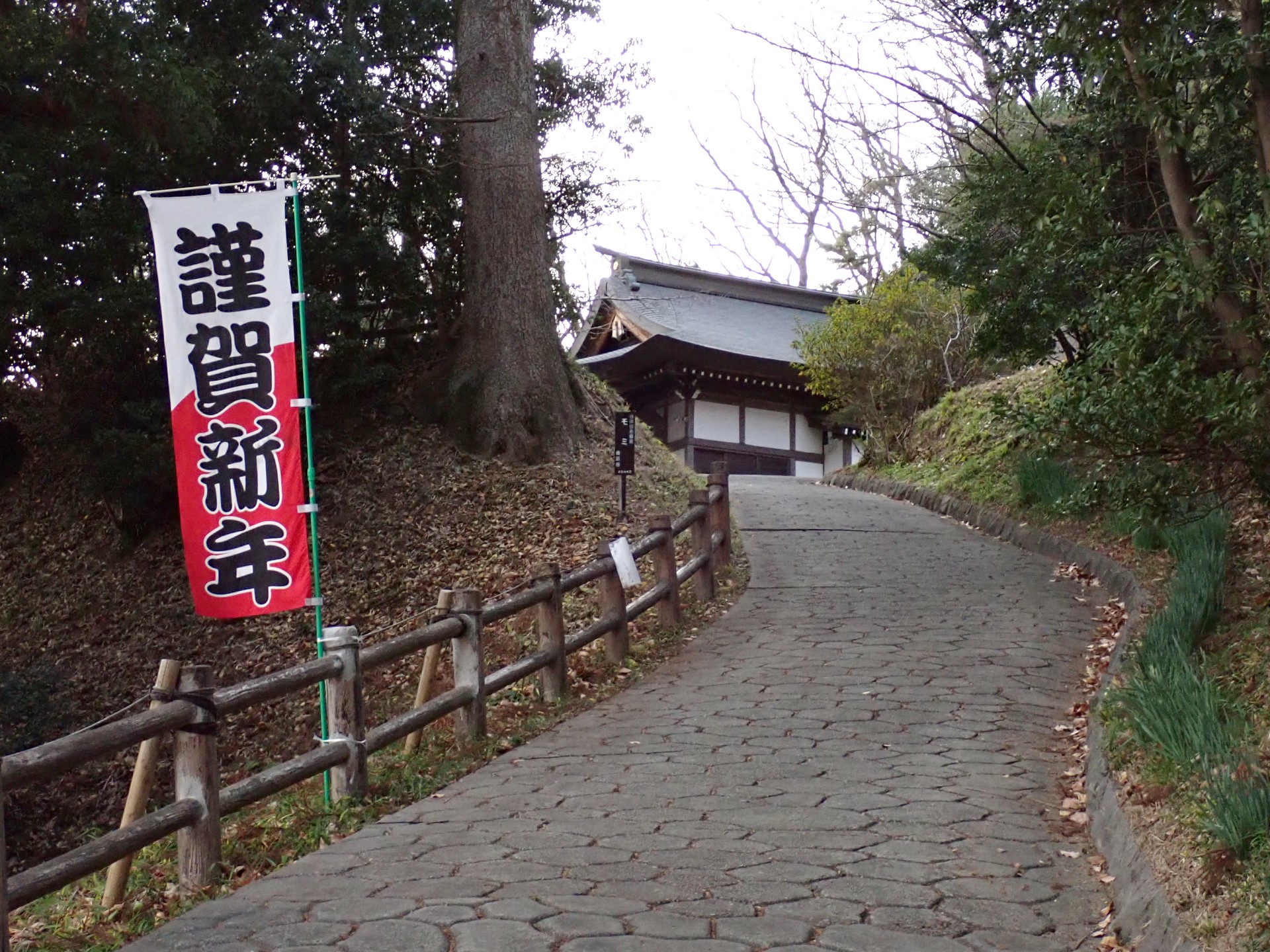 スイセンが道端に植えられている参道スロープの高画質写真です。スイセンの花がポツリと咲いています。横浜市 青葉区 J-ふるさと村で、2024年1月3日に撮影したものです。