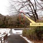 折れた枝が別の枝に引っ掛かてる高画質写真です。横浜市 青葉区 寺家ふるさと村で、2024年2月6日に撮影したものです。