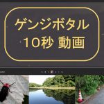 ゲンジボタルの飛ぶ様子です。