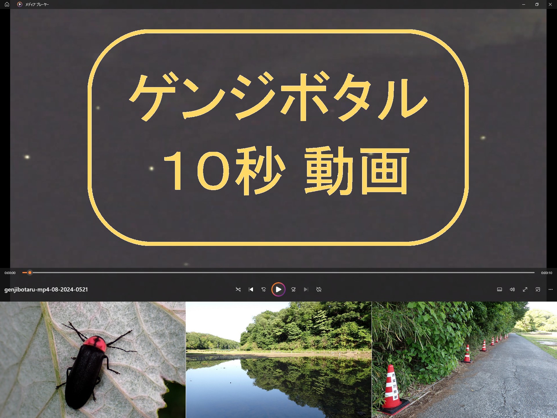 ゲンジボタル