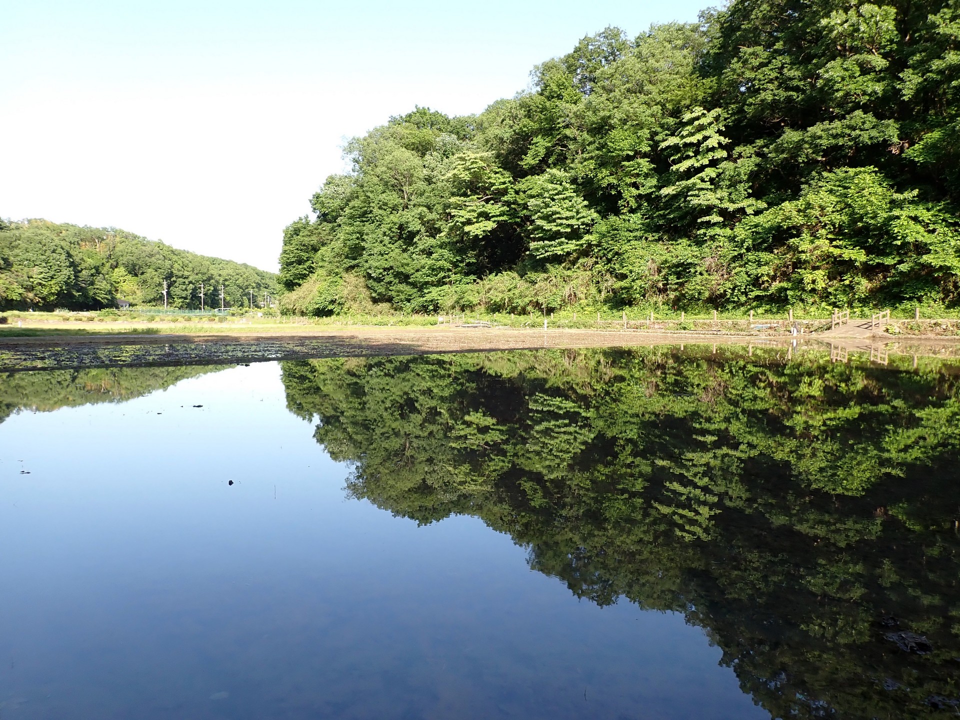 田んぼに水が張られた景色です。