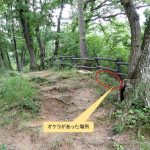 昨年 2023年にオケラがあった場所の高画質写真です。横浜市で、2024年6月17日に撮影したものです。