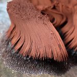 サビムラサキホコリ の高画質写真です。横浜市で、2025年6月6日に撮影したものです。