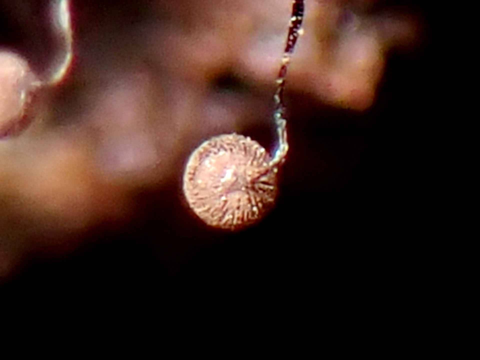 クモノスホコリ の高画質写真です。横浜市で、2025年8月27日に撮影したものです。