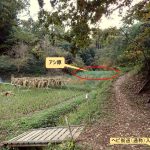 杉淵谷戸 の高画質写真です。横浜市で、2025年11月12日に撮影したものです。