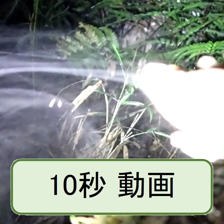 チャウロコタケ